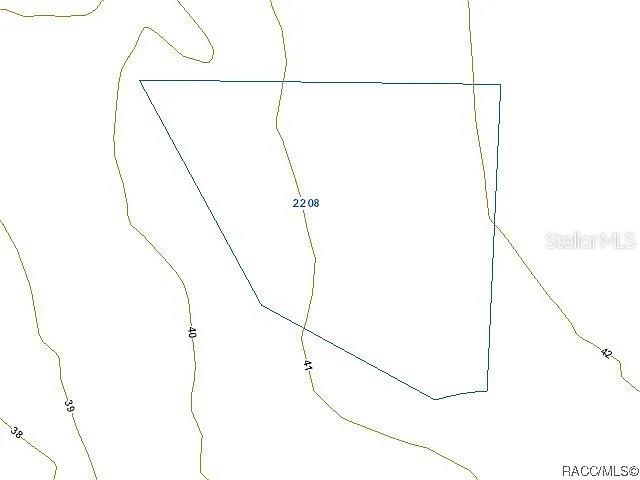 This is a map showing a property boundary line with contour elevation lines — 2208 MISTLETOE STREET, INVERNESS, FL