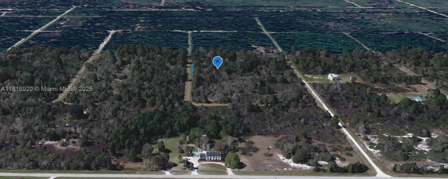 An aerial view shows a wooded lot with a blue location pin and nearby houses — 2844 W TWILLEY, Avon Park FL 33825, AVON PARK, FL