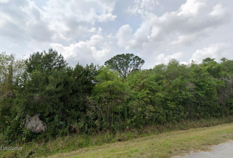 A dense, wooded lot with a variety of trees and shrubs under a cloudy sky — 3853 NW 37TH AVENUE, OKEECHOBEE, FL
