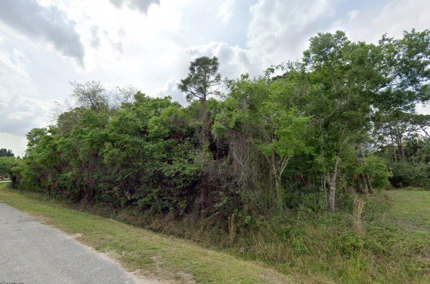A dense, wooded lot borders a paved road under a cloudy sky — 3853 NW 37TH AVENUE, OKEECHOBEE, FL