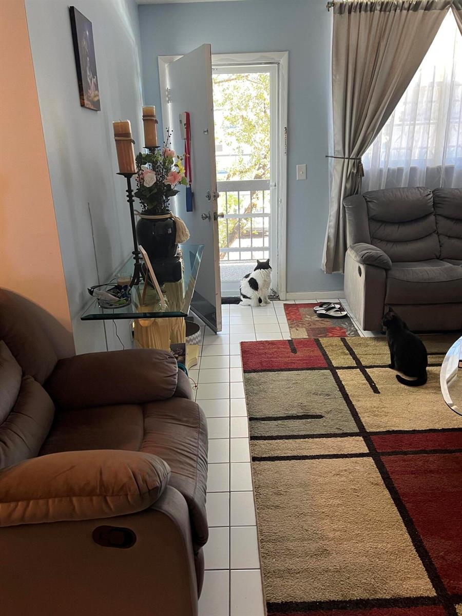 A living room with tile floors, a glass console table, and two cats near a doorway — 3220 Holiday Springs Boulevard # 210, Margate FL 33063, MARGATE, FL