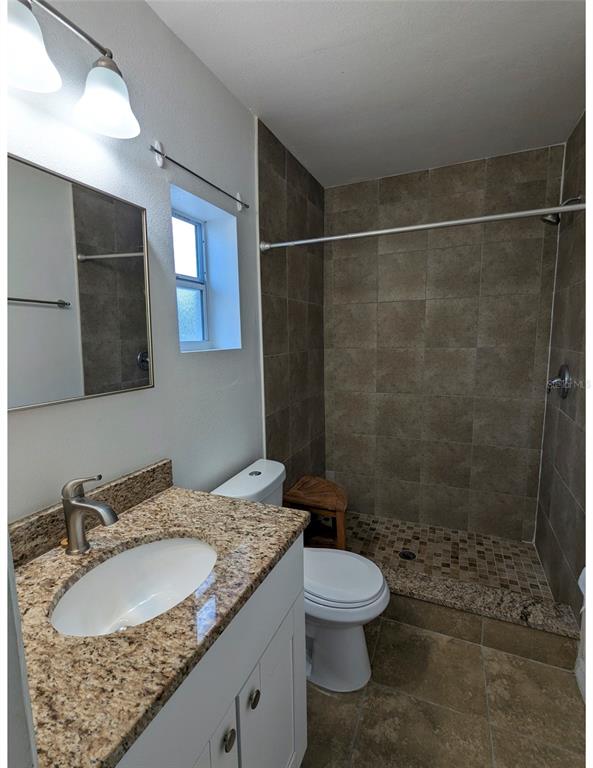 A bathroom features a granite-topped vanity, a white toilet, and a tiled walk-in shower — 411 S ALBANY AVENUE UNIT 3, TAMPA, FL