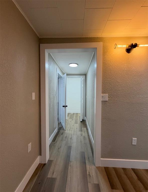 A hallway with light wood-look flooring leads to an open doorway in a neutral-toned home — 1221 E DR MARTIN LUTHER KING JR BOULEVARD, TAMPA, FL