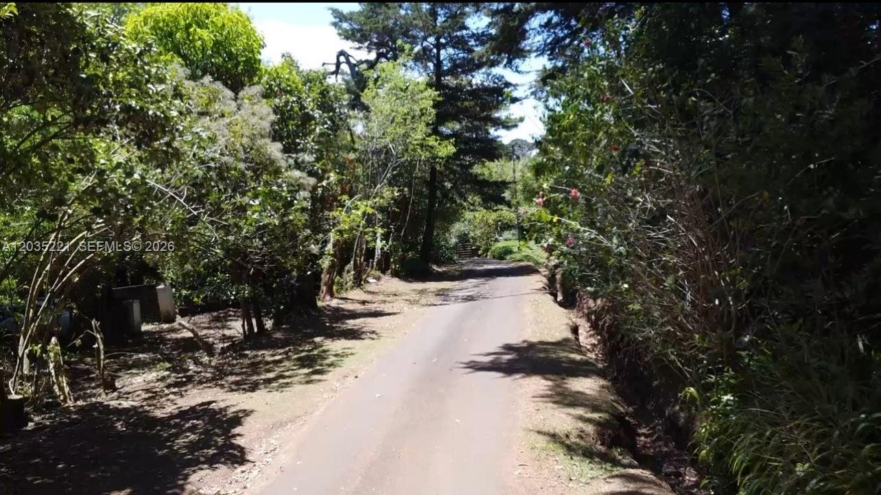 A narrow paved road winds through a lush, tree-lined landscape on a sunny day — SAN RAFAEL CASA No usar, FL, FL