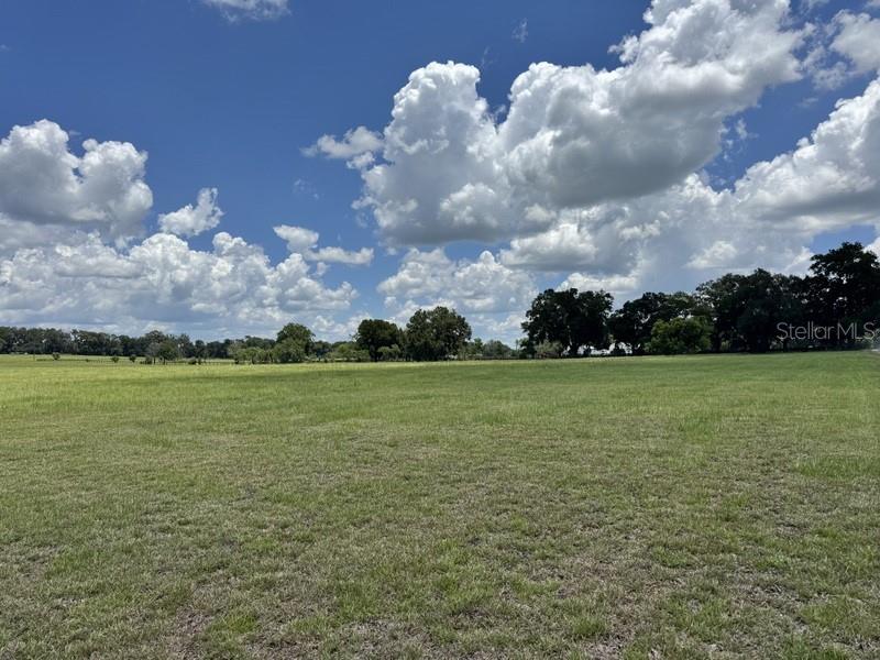 NW 131 STREET