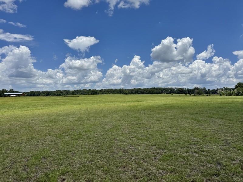 A large, flat, grassy field under a bright blue sky with scattered white clouds — NW 131 STREET, REDDICK, FL