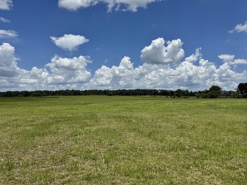 A wide, grassy field stretches toward a distant tree line under a cloudy blue sky — NW 131 STREET, REDDICK, FL