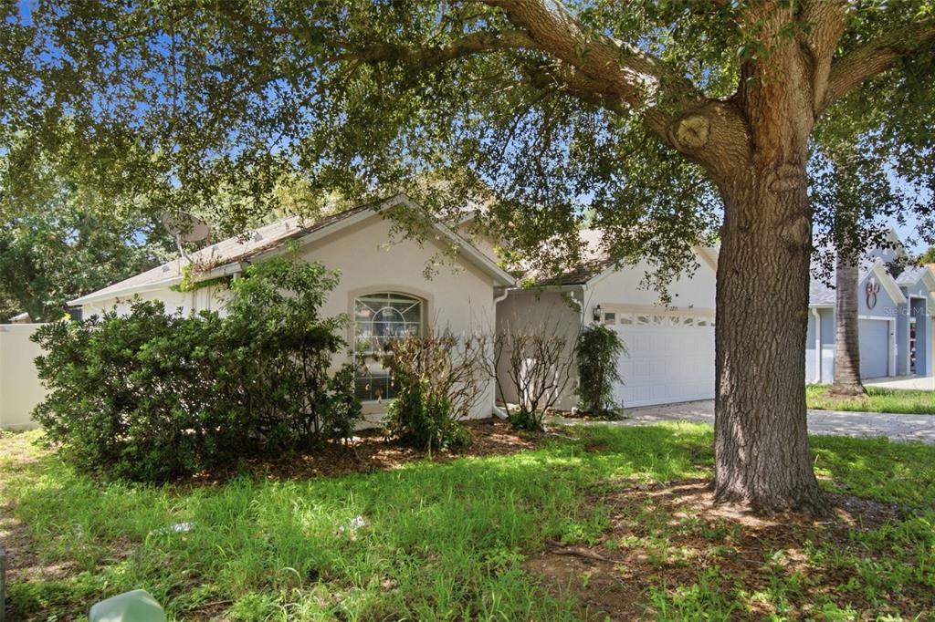 A single-story house with a white exterior, a garage, and a large tree in front — 2255 MERRY ROAD, TAVARES, FL