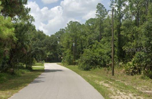 A paved road winds through a wooded area with tall pine trees and utility poles — ANANAS ROAD, NORTH PORT, FL