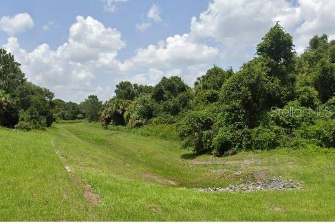 A grassy drainage swale slopes downward toward a line of dense trees and vegetation — ANANAS ROAD, NORTH PORT, FL