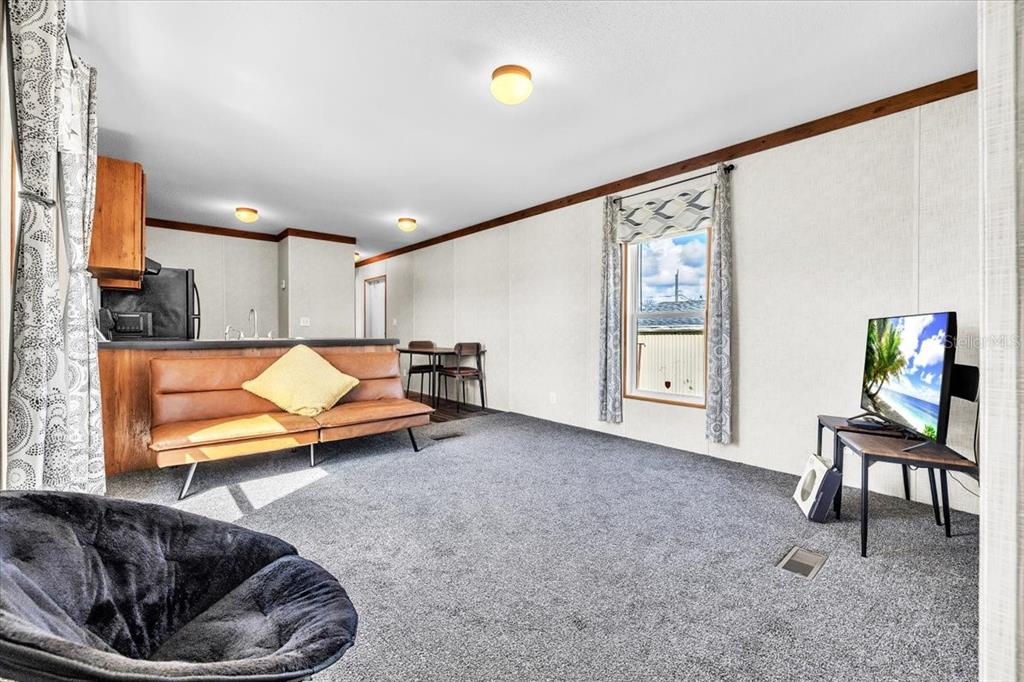 A living room with gray carpet, a brown sofa, and a television on a stand — 3702 DUNREATH ROAD, PORT CHARLOTTE, FL