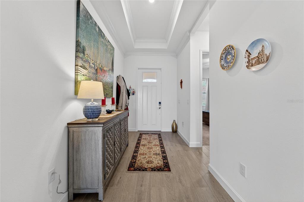 A bright entryway features a tray ceiling, wood-look flooring, a console table, and decorative plates — 17216 SCUBA CREST STREET, WIMAUMA, FL