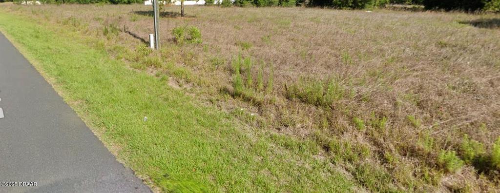 A paved road runs alongside a grassy, undeveloped lot with scattered weeds and brush — 00 BEACH BOULEVARD, DUNNELLON, FL