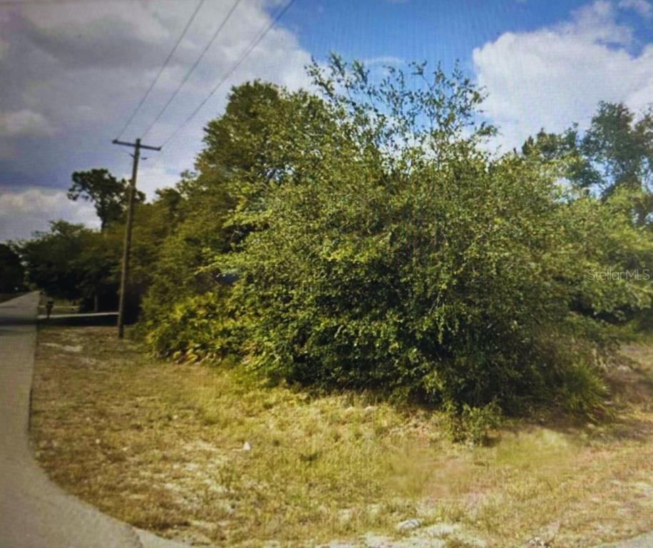 4001 E 20 STREET, ALVA, FL — photo 2 of 5