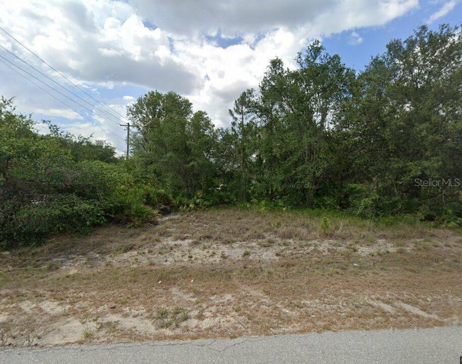 4001 E 20 STREET, ALVA, FL — photo 3 of 5