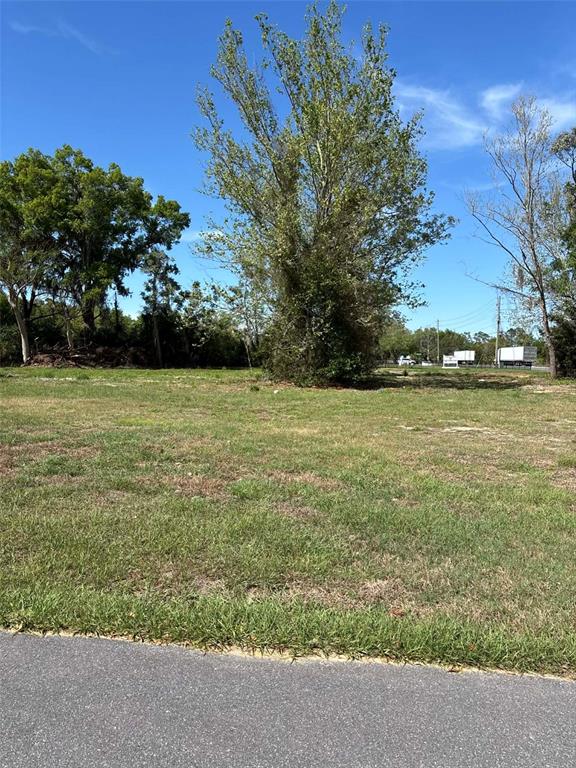 A grassy, vacant lot features a large central tree under a clear blue sky — 15511 STATE ROAD 19, GROVELAND, FL
