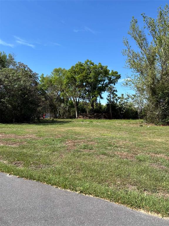 A vacant, grassy lot is bordered by trees under a clear blue sky — 15511 STATE ROAD 19, GROVELAND, FL