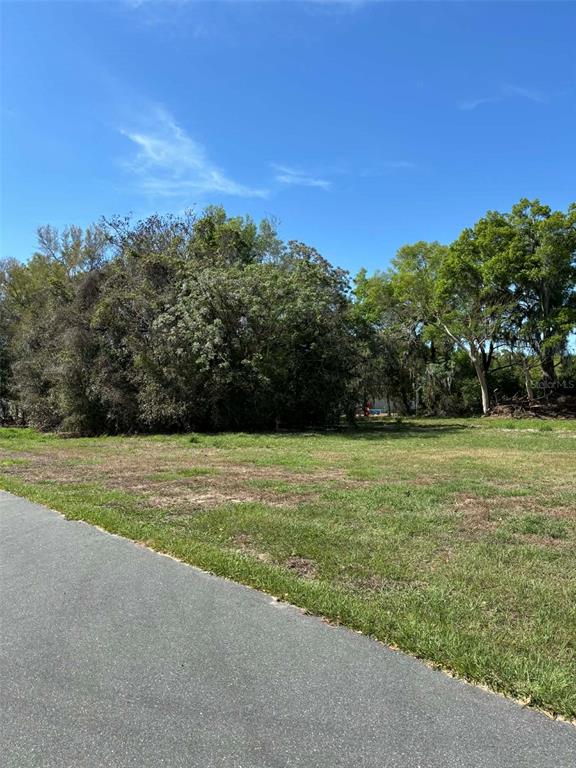 A paved road borders a grassy, undeveloped lot with trees and brush in the background — 15511 STATE ROAD 19, GROVELAND, FL