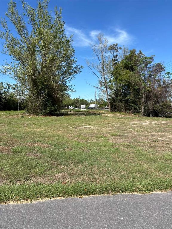 A vacant, grassy lot with trees is viewed from an adjacent paved road — 15511 STATE ROAD 19, GROVELAND, FL