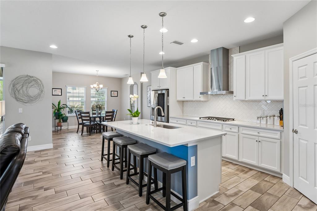 4124 CADENCE LOOP, LAND O LAKES, FL — photo 5 of 30