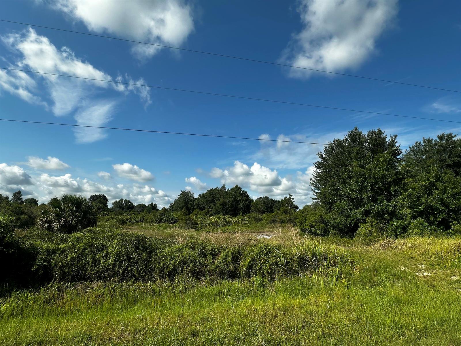 A grassy, undeveloped lot features scattered shrubs, trees, and a bright blue sky above — 15138 NW 262nd Street, Okeechobee FL 34972, OKEECHOBEE, FL
