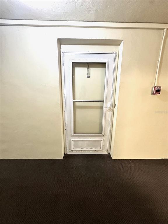 A white storm door is centered on a plain wall above dark brown carpeting — 4550 COVE CIRCLE UNIT 905, ST PETERSBURG, FL