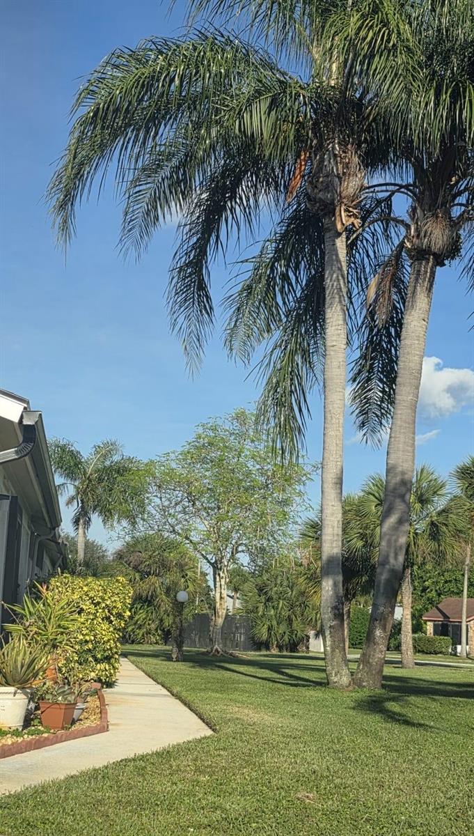 A view of a grassy yard with tall palm trees next to a residential building — 4327 Willow Brook Circle, West Palm Beach FL 33417, WEST PALM BEACH, FL