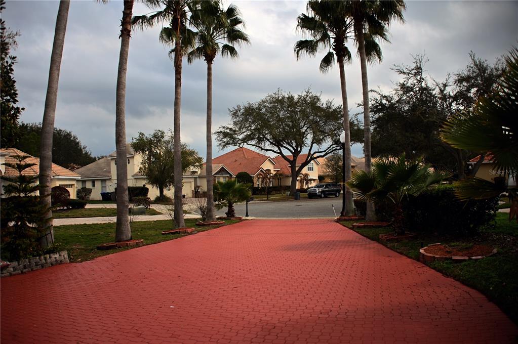 A red paved driveway leads toward a suburban street lined with houses and palm trees — 8800 OAK LANDINGS COURT, ORLANDO, FL