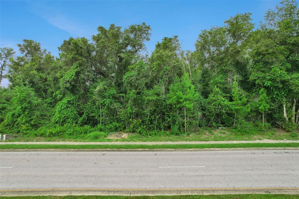 A view of a densely wooded, undeveloped lot bordering a paved road and sidewalk — 2841 HOWLAND BOULEVARD, DELTONA, FL