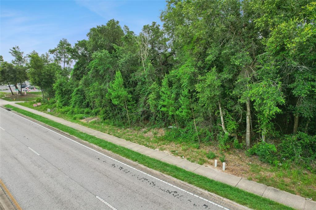 An elevated view of a vacant, wooded lot bordering a paved road and sidewalk — 2841 HOWLAND BOULEVARD, DELTONA, FL