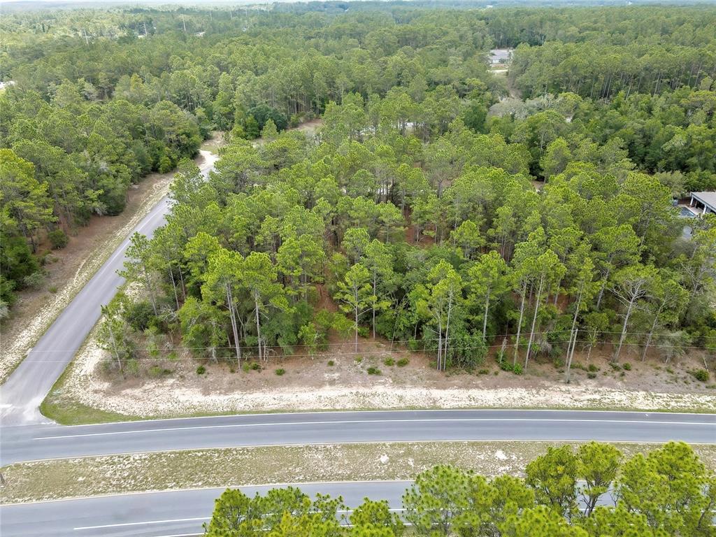 An aerial view shows a wooded lot bordered by a paved road and trees — 9787 N CITRUS SPRINGS BOULEVARD, CITRUS SPRINGS, FL