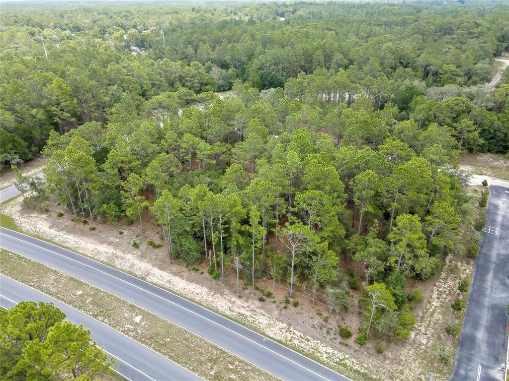 An aerial view shows a wooded, undeveloped plot of land adjacent to a paved road — 9787 N CITRUS SPRINGS BOULEVARD, CITRUS SPRINGS, FL