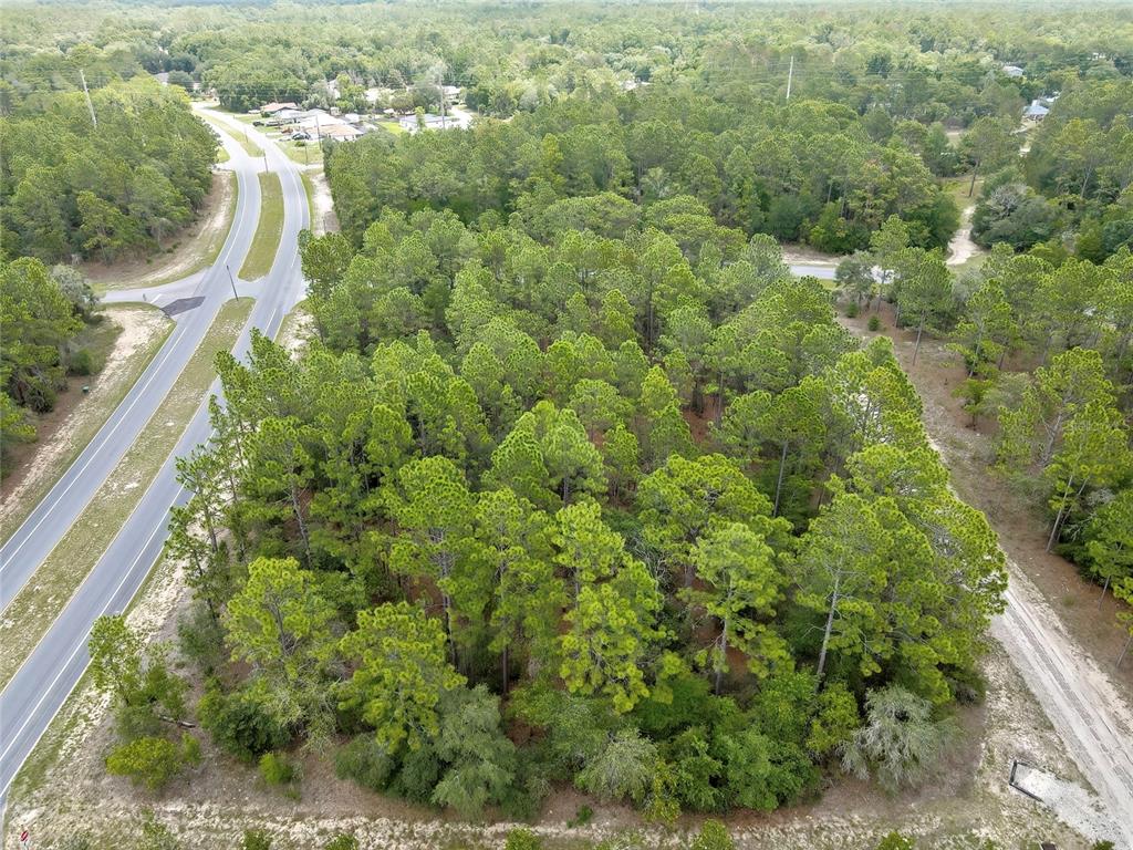 An aerial view shows a wooded lot situated between a paved road and a dirt path — 9787 N CITRUS SPRINGS BOULEVARD, CITRUS SPRINGS, FL