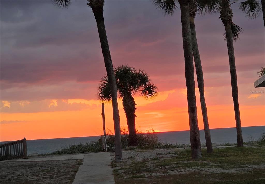 A sunset view over the ocean with palm trees and a sandy beach path — 908 VILLAS DRIVE UNIT 29, VENICE, FL