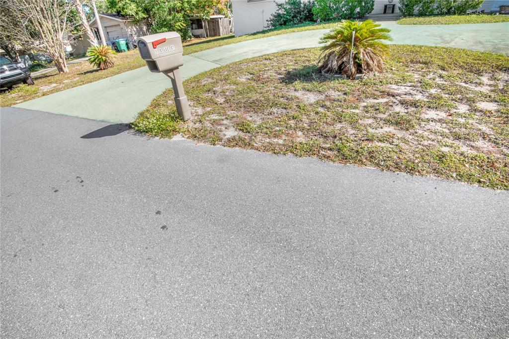A paved driveway leads to a mailbox and a small landscaped yard with a palm — 91 S LEE STREET, BEVERLY HILLS, FL