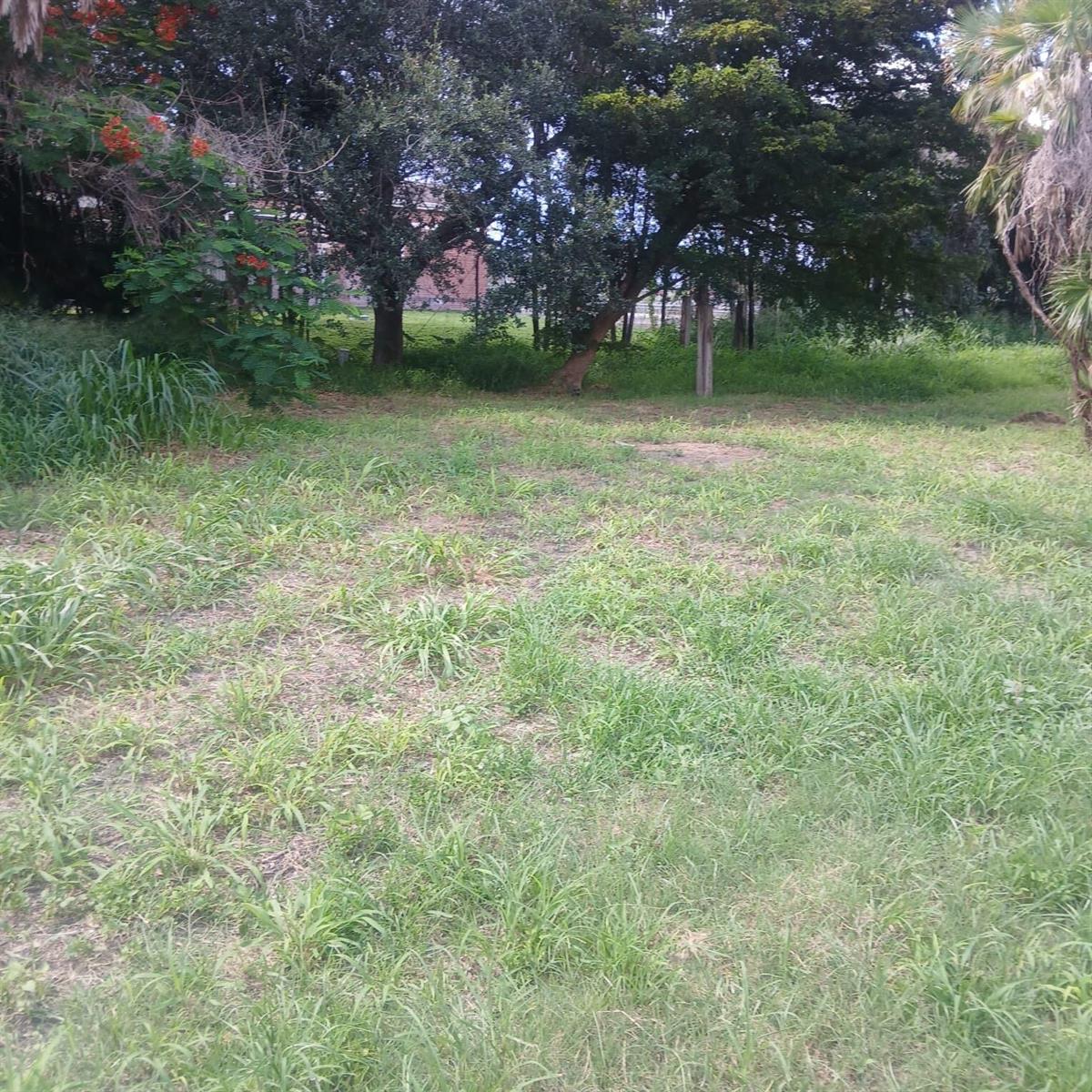 A grassy, open lot features scattered patches of vegetation and mature trees in the background — . SW Conners Highway W, Canal Point FL 33438, CANAL POINT, FL