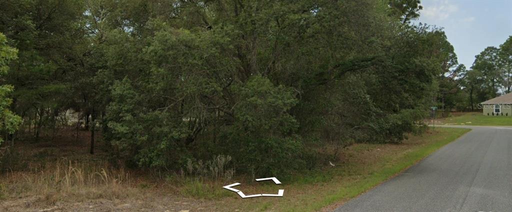 A vacant, wooded lot sits along a paved road in a residential neighborhood — 3091 W REDGATE DRIVE, DUNNELLON, FL
