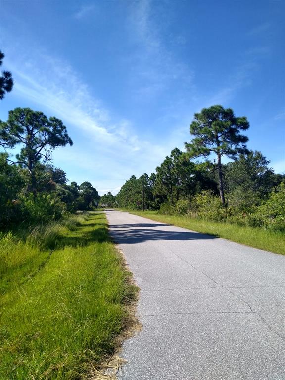 A paved road stretches through a grassy landscape lined with pine trees under a blue sky — 12109 KELLER AVENUE, PORT CHARLOTTE, FL