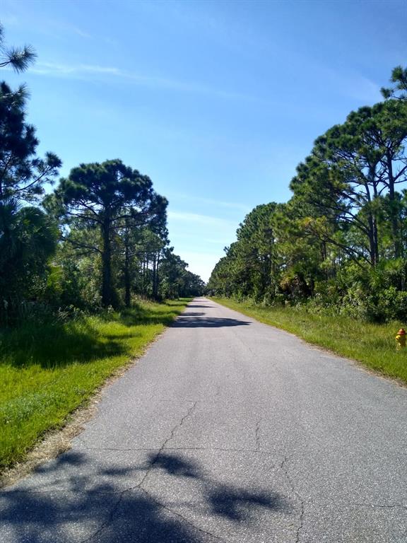 A paved road stretches into the distance, flanked by pine trees and grassy shoulders — 12109 KELLER AVENUE, PORT CHARLOTTE, FL