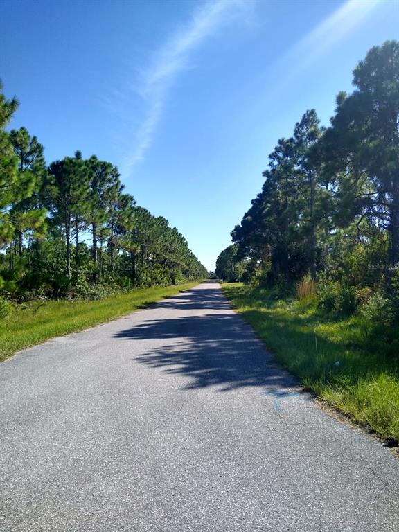 A paved road stretches into the distance, flanked by rows of pine trees and grass — 12109 KELLER AVENUE, PORT CHARLOTTE, FL