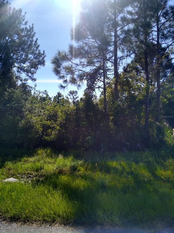 A view of a grassy, wooded lot with tall pine trees under a bright sun — 12109 KELLER AVENUE, PORT CHARLOTTE, FL