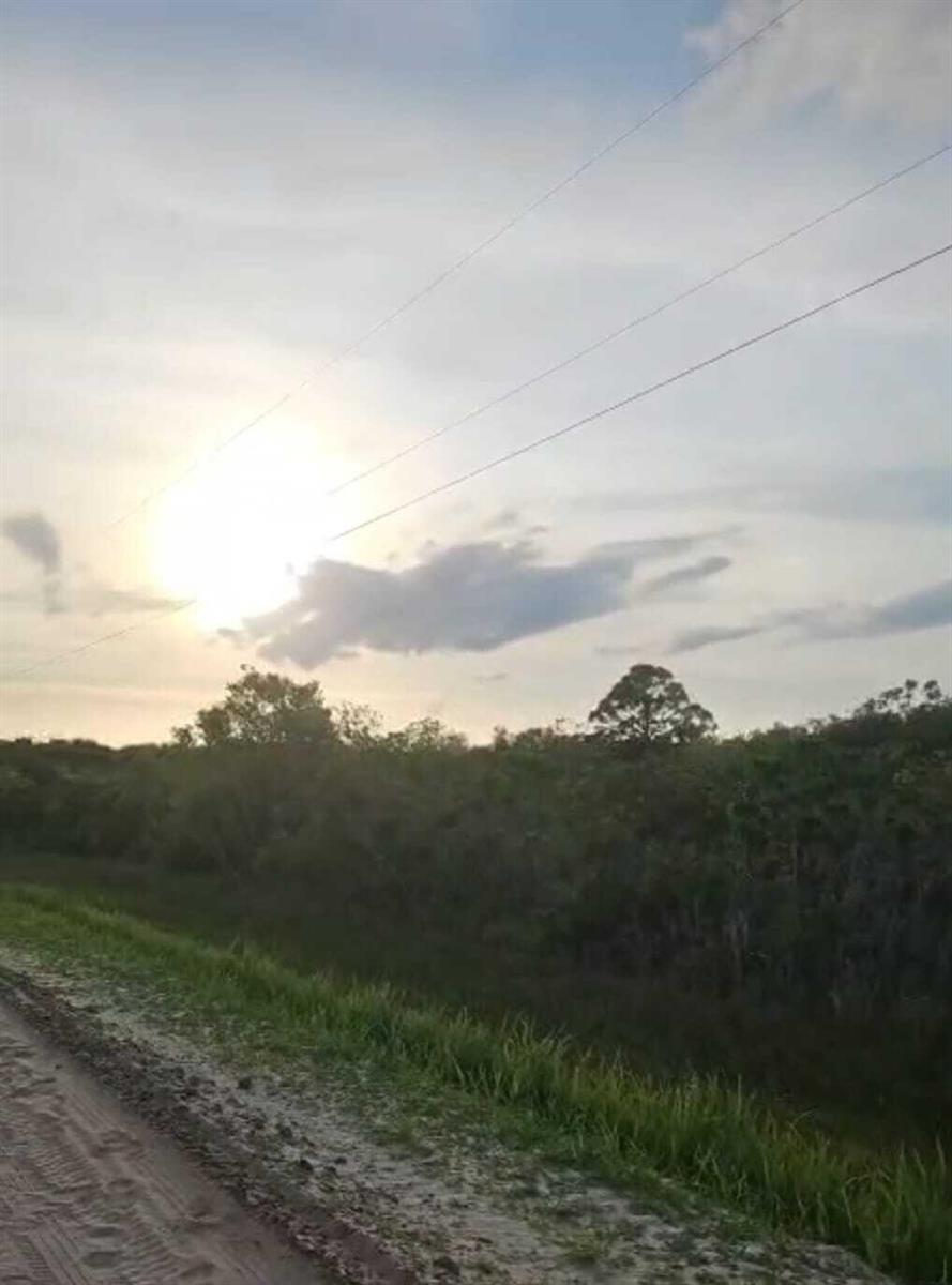 A dirt road runs alongside a grassy field under a bright, cloudy sky with power lines — 15775 NW 304th Street, Okeechobee FL 34972, OKEECHOBEE, FL