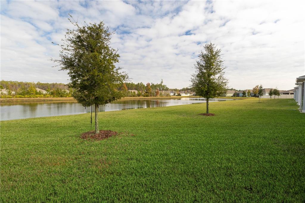 10307 BENSON LAKE DRIVE, JACKSONVILLE, FL — photo 2 of 25