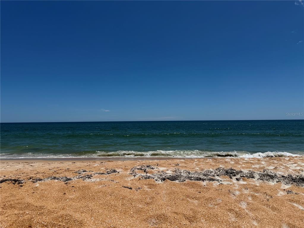 A view of a sandy beach with seaweed and the ocean under a clear sky — 3600 S OCEAN SHORE BOULEVARD UNIT 812, FLAGLER BEACH, FL