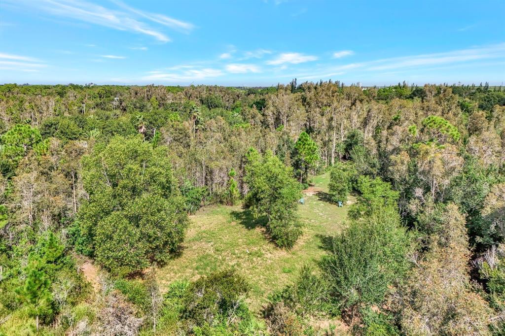 An aerial view shows a grassy clearing surrounded by dense trees and vegetation — 41601 LITTLE FARM ROAD, PUNTA GORDA, FL