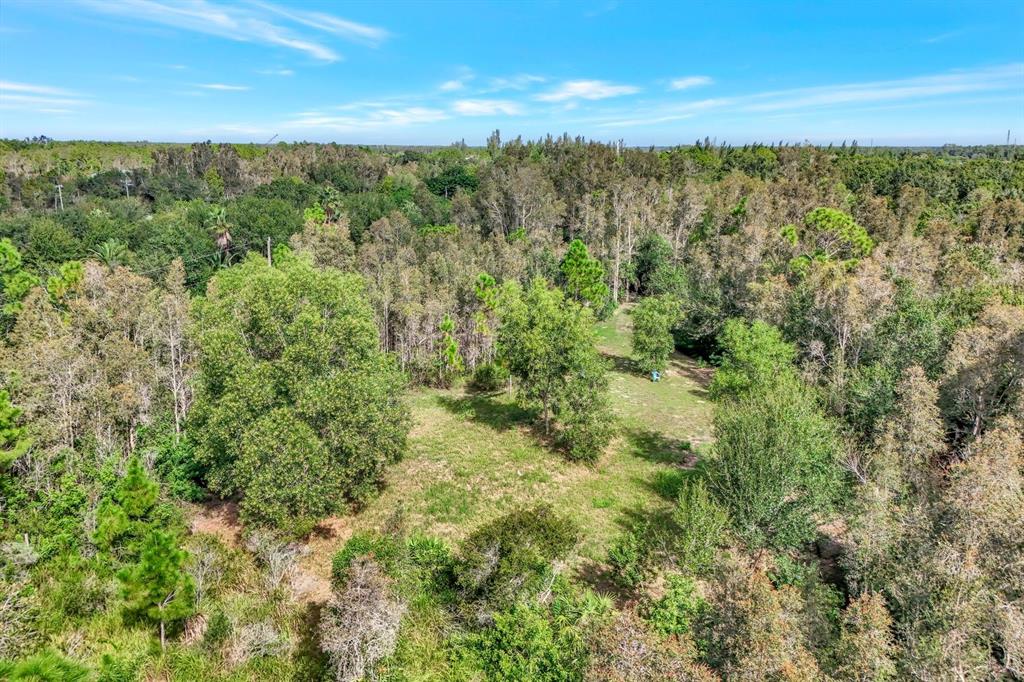 An aerial view shows a grassy clearing surrounded by dense trees under a blue sky — 41601 LITTLE FARM ROAD, PUNTA GORDA, FL
