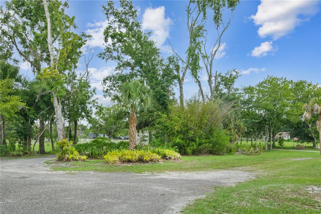 A gravel driveway leads toward a landscaped island with a palm tree and surrounding trees — 2650 20 MILE LEVEL ROAD, LAND O LAKES, FL