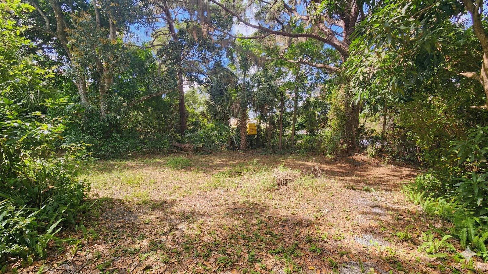 A wooded, grassy lot with mature trees and dense vegetation under a blue sky — 5679 Sims Road, Delray Beach FL 33484, DELRAY BEACH, FL