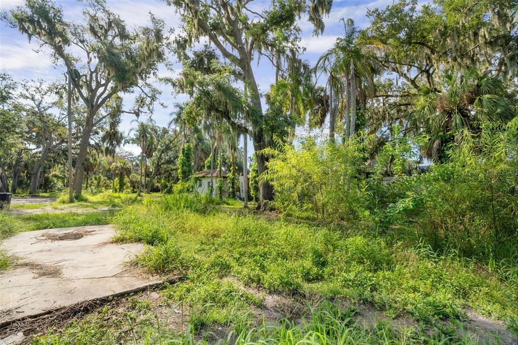 An overgrown vacant lot features a concrete slab foundation and several large, moss-draped oak trees — 3415 41ST STREET E, PALMETTO, FL