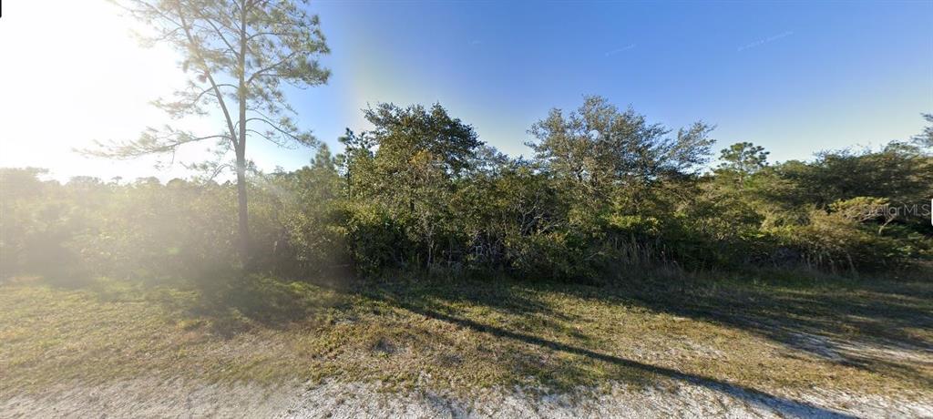A vacant, wooded lot with sandy ground under a clear blue sky — SARASOTA DRIVE, INDIAN LAKE ESTATES, FL
